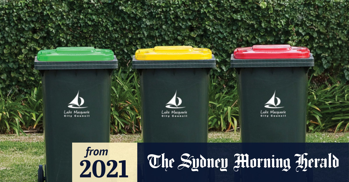 Provide more rubbish bins
